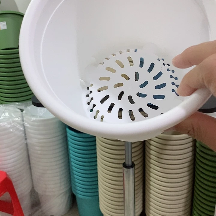 四季口18白5个无托