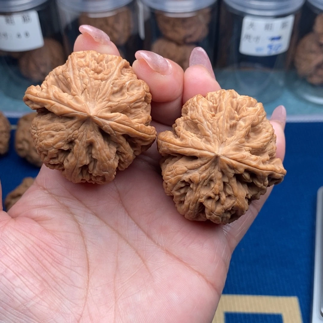 君***上文玩核桃把件粗筋45