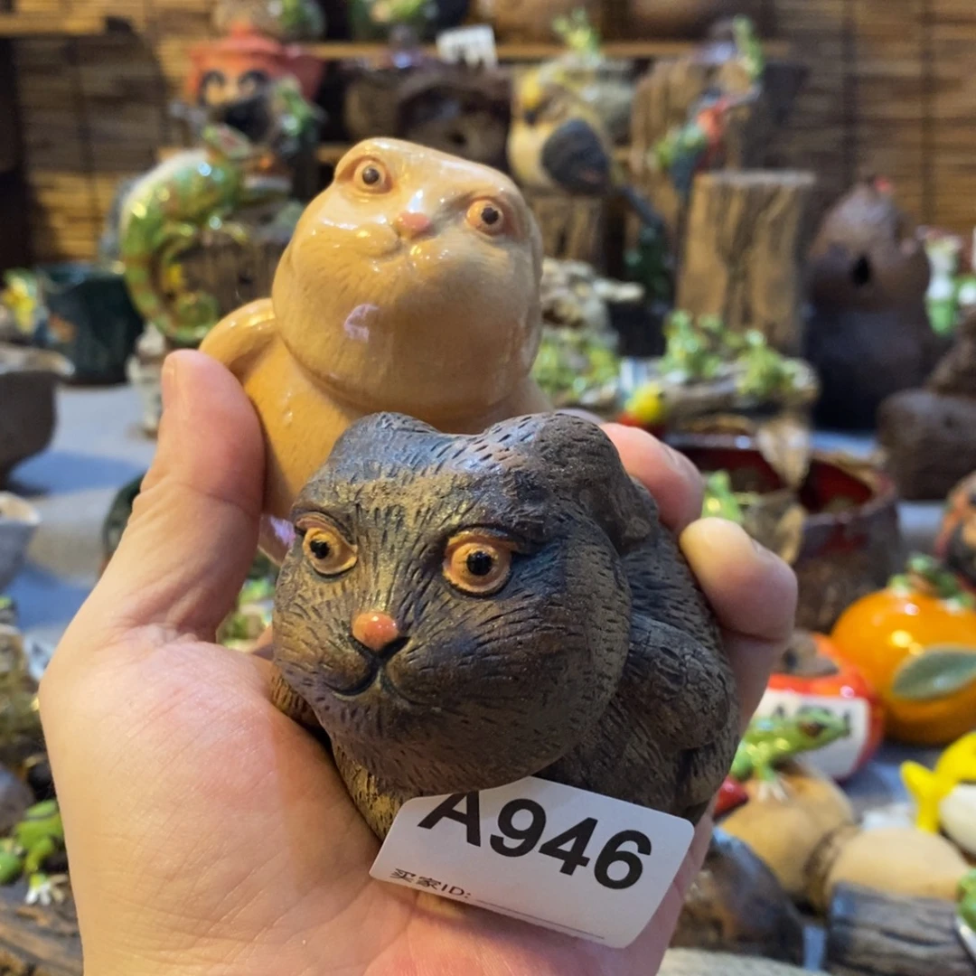 苏***夏陶陶陶陶陶陶陶陶