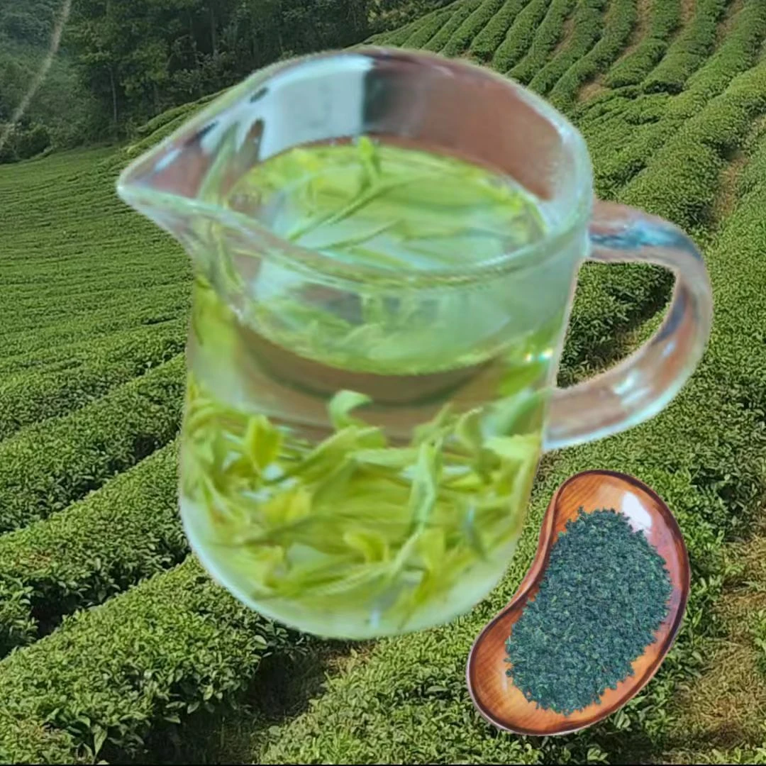 新茶富硒之乡开阳高山云雾绿茶绿珠纯天然茶香浓郁清甜爽口