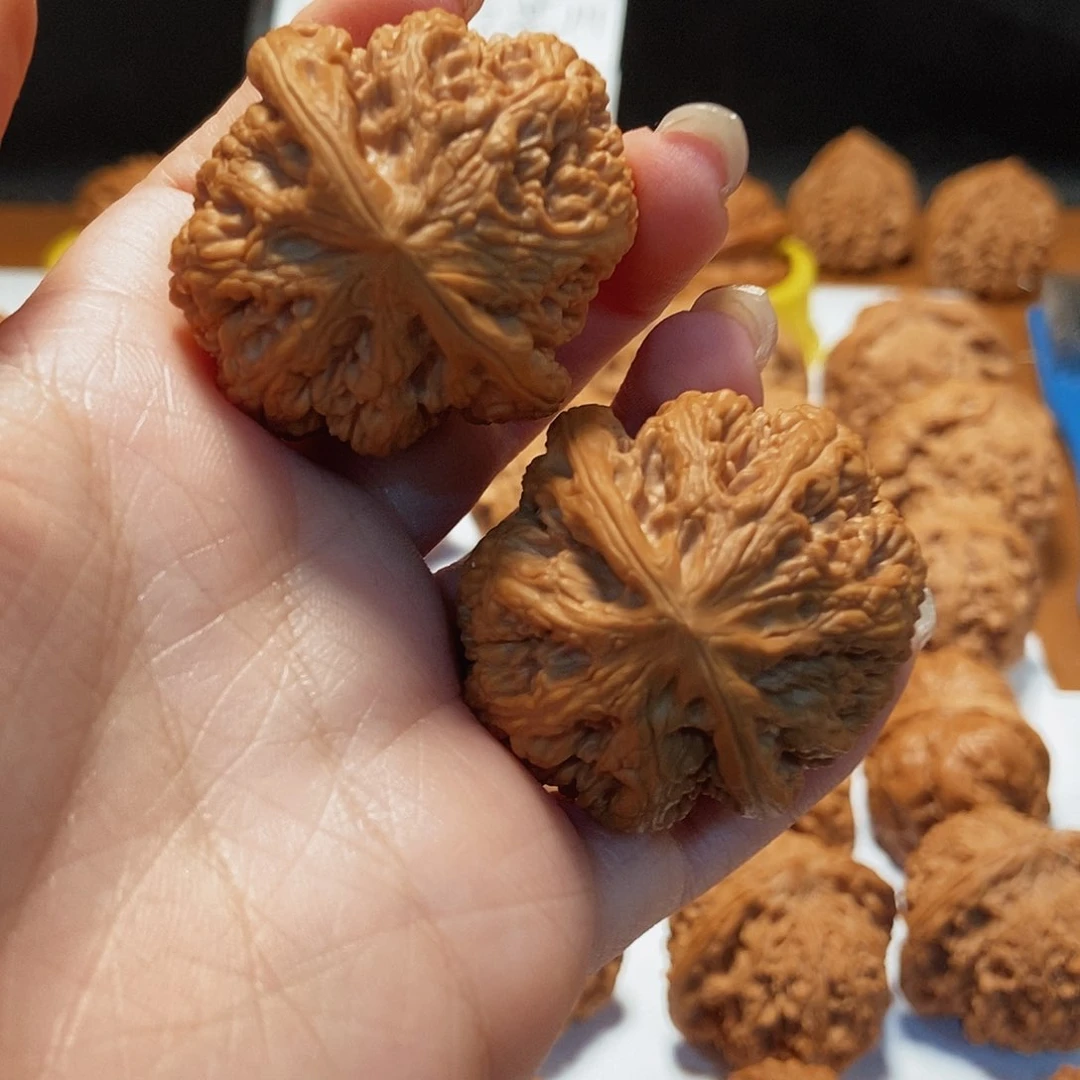 文玩核桃吊坠39粗筋