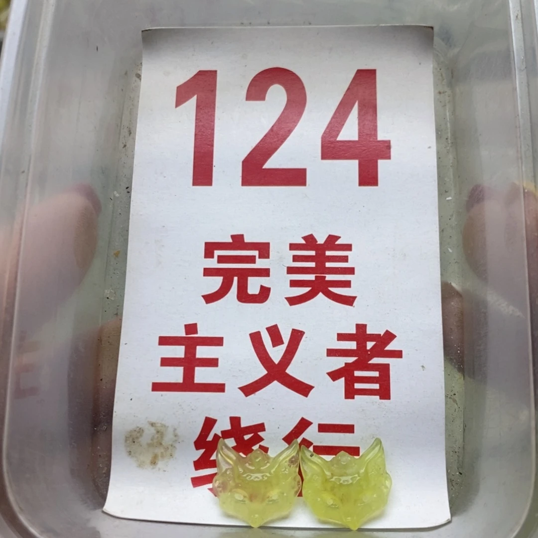 透闪石-蛇纹石玉未镶嵌挂坠