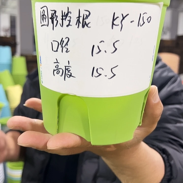 正品圆控口15高15混色10个无托