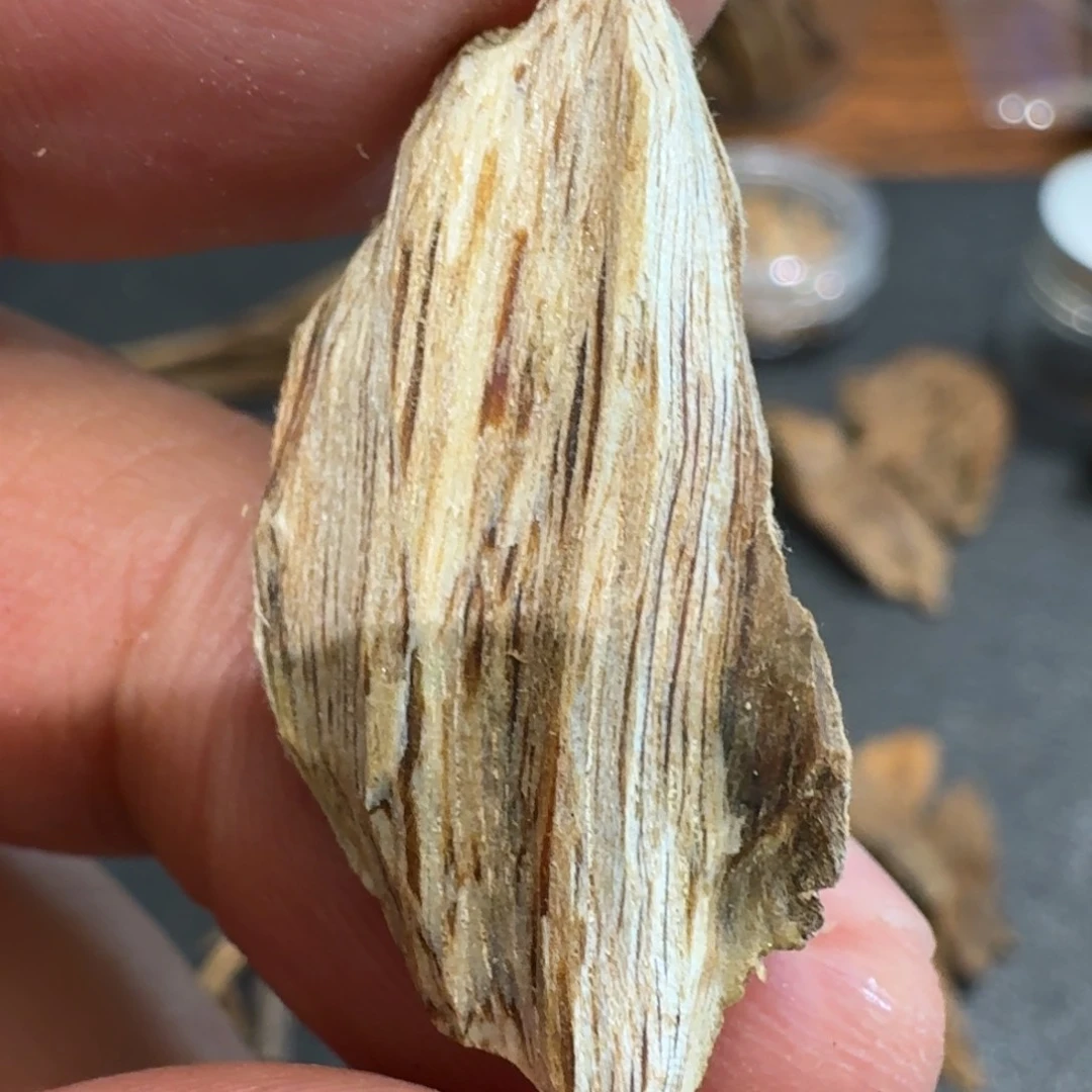 树脂制品0.75 克虎斑棋好味道