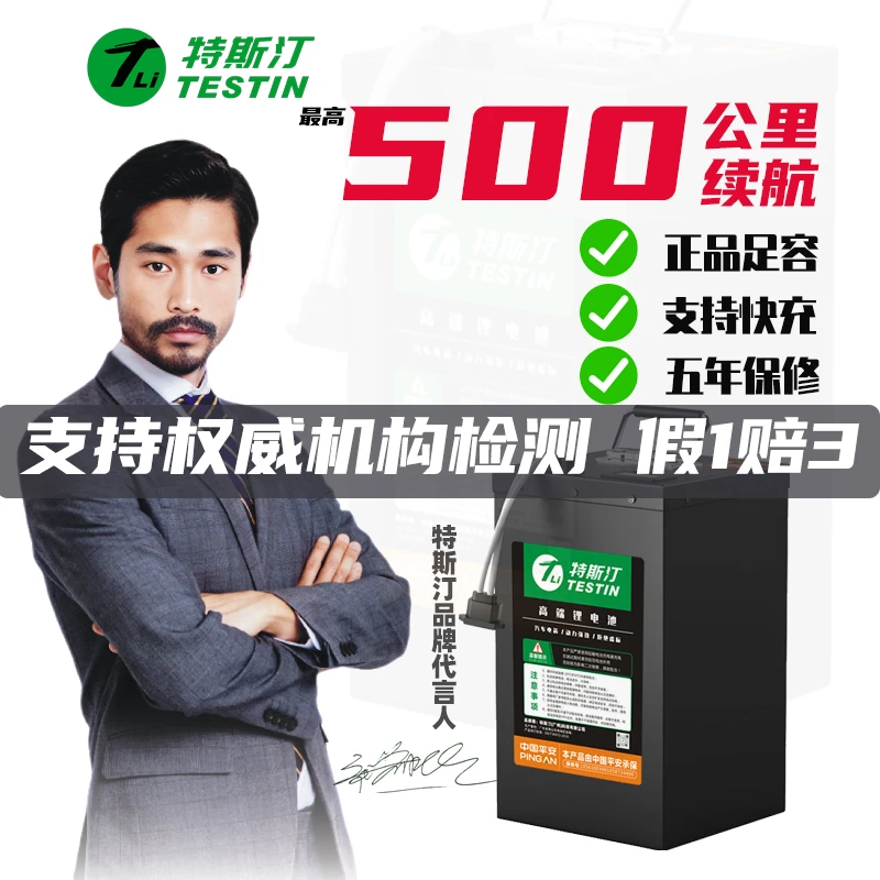 Testin/特斯汀电动车48V电池电动自行车宁德三元电瓶磷酸铁锂电摩