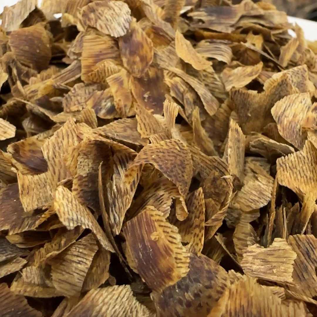 沉香木摆件海南棋楠沉香沉水乌身块料20