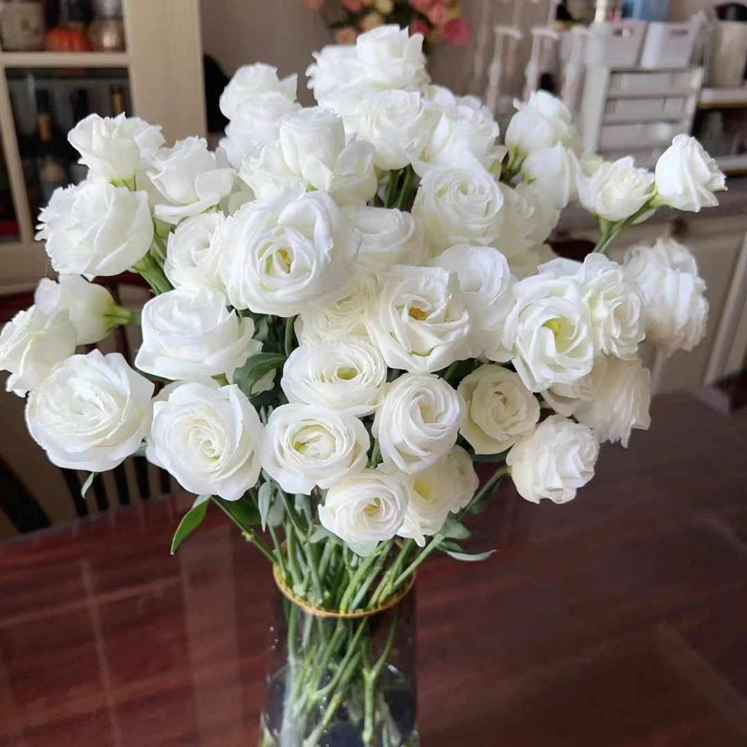 【白色洋桔梗】云南鲜花基地直发 | 全场两单升级顺丰