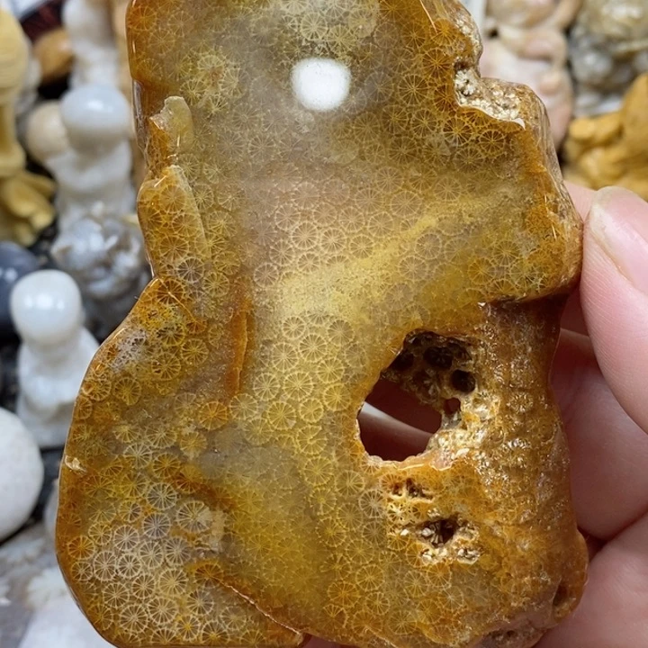 颈饰未镶嵌硅化珊瑚（珊瑚玉）