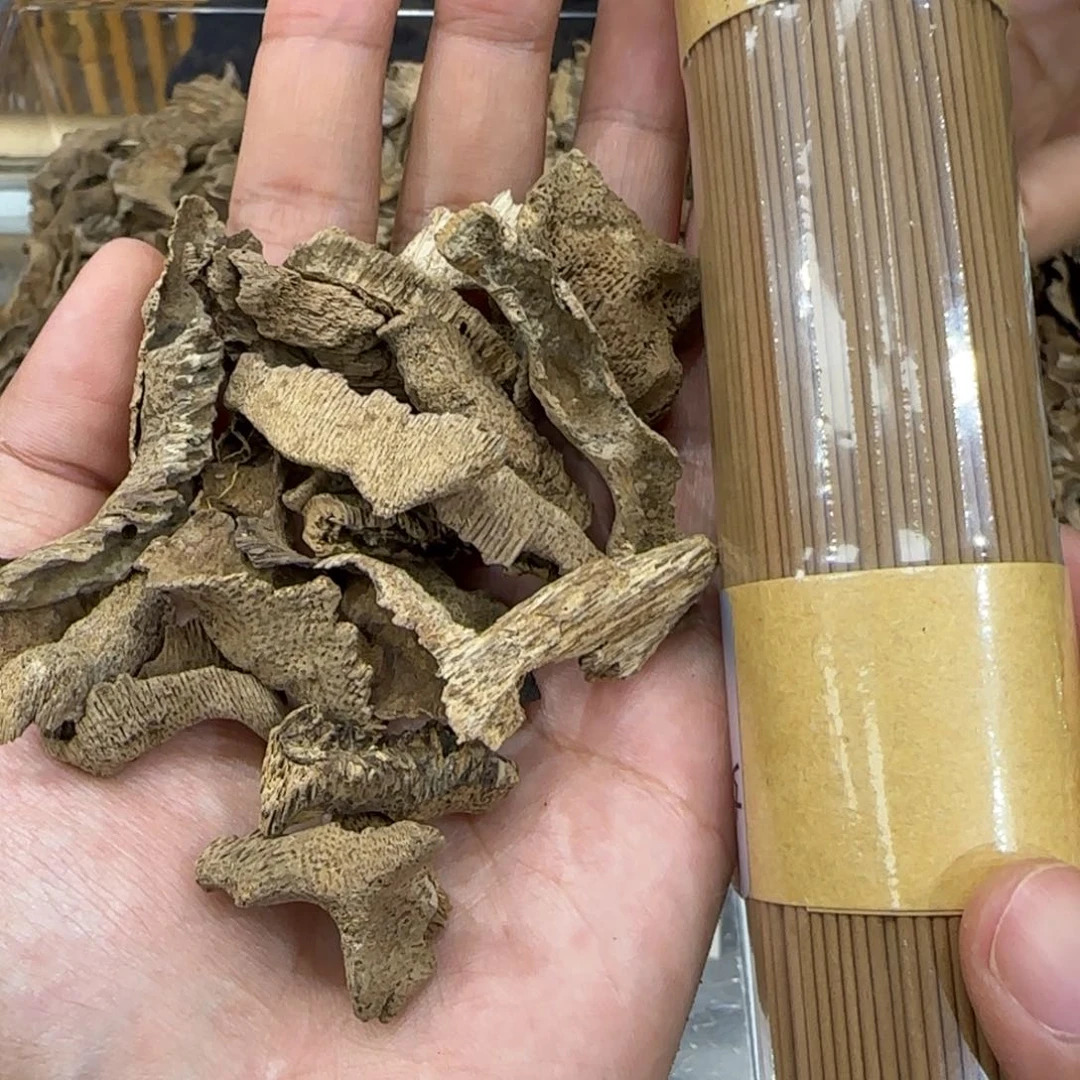 海南文昌根部虫漏11克一份