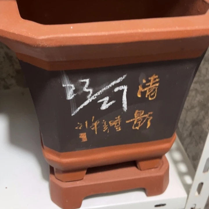 紫砂花盆宜兴紫砂