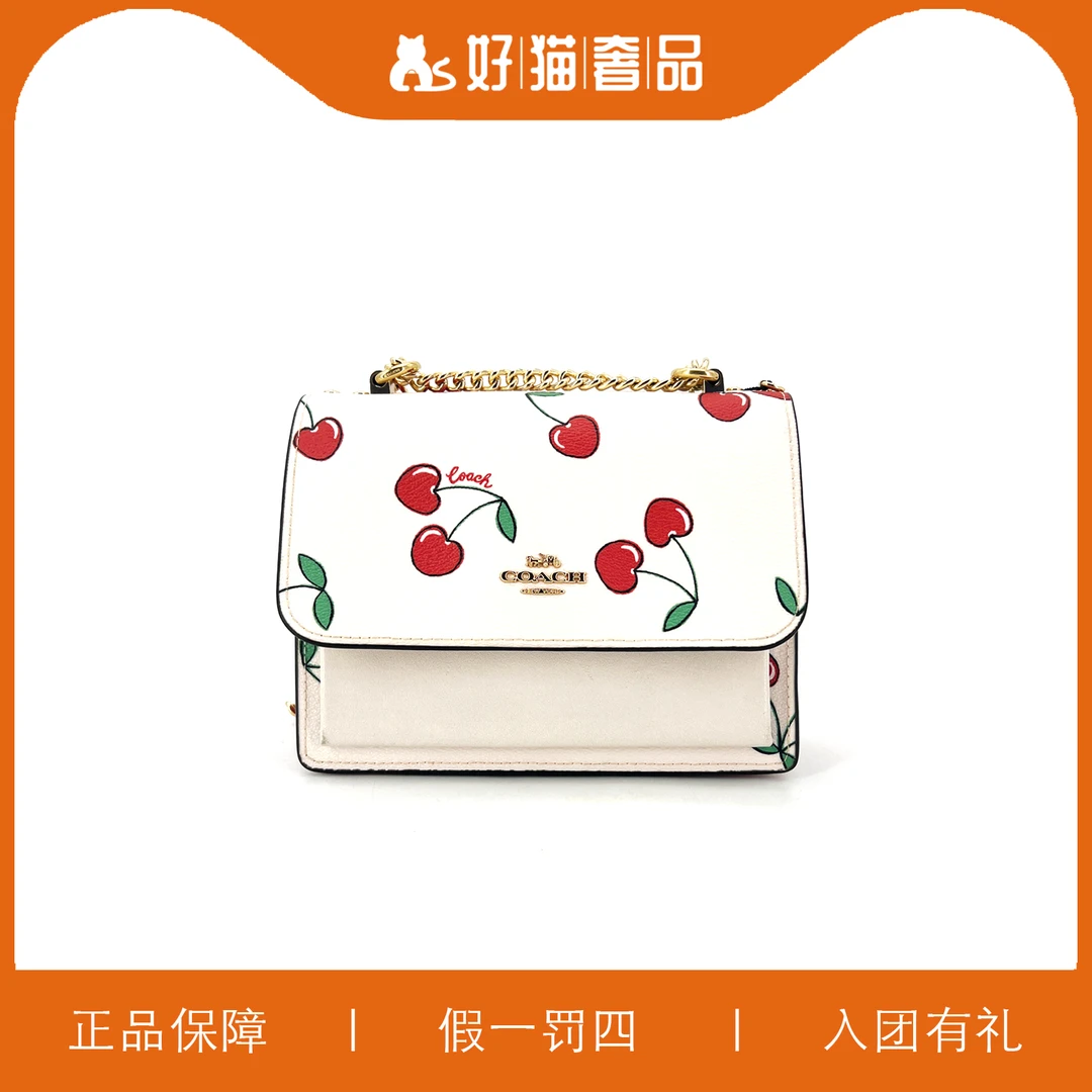 95新 COACH/蔻驰 蔻驰樱桃印花风琴包/B4255/18X14X6