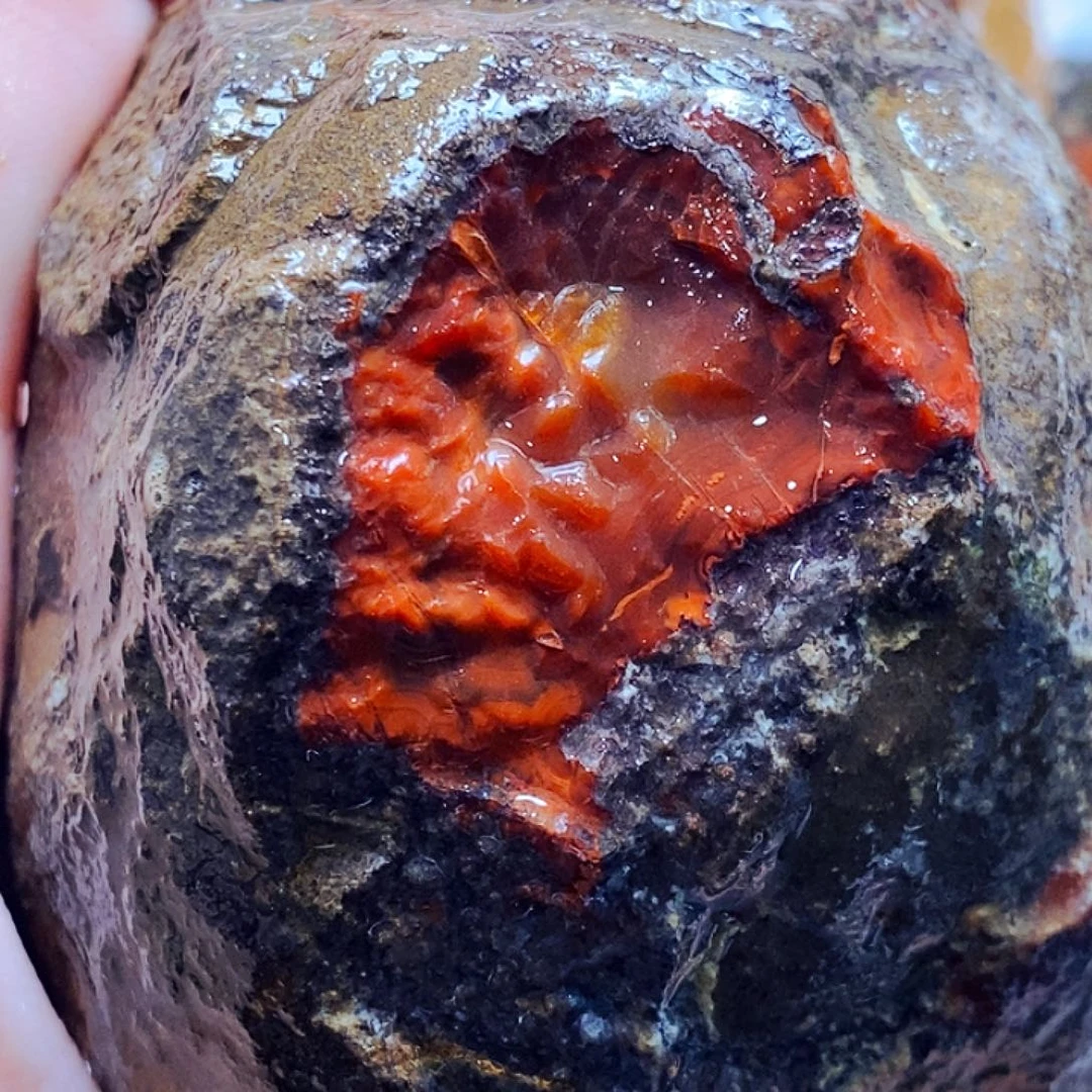 *****定制玛瑙未镶嵌战国红