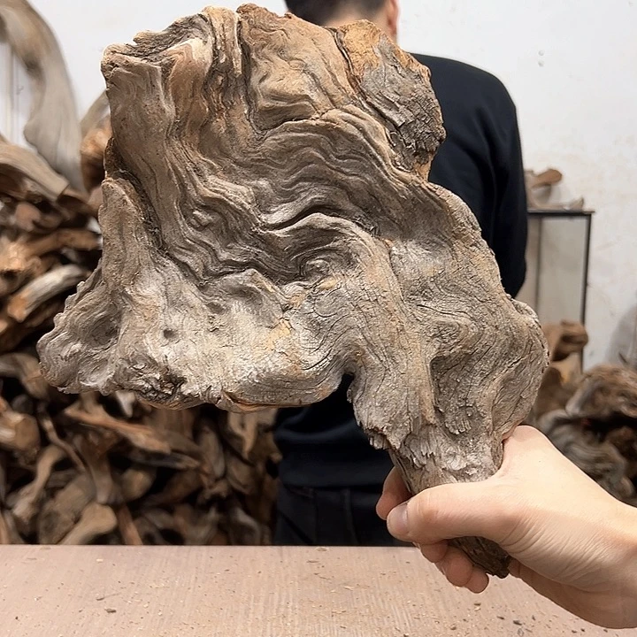 柏木漫****路我们都是好孩子呀我也是