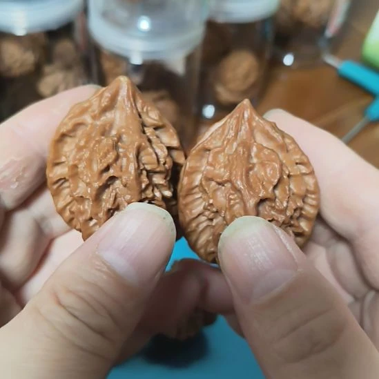 把件文玩核桃曹大龙微磕尖一只