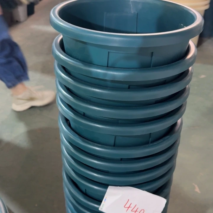 编号440微瑕5个无托