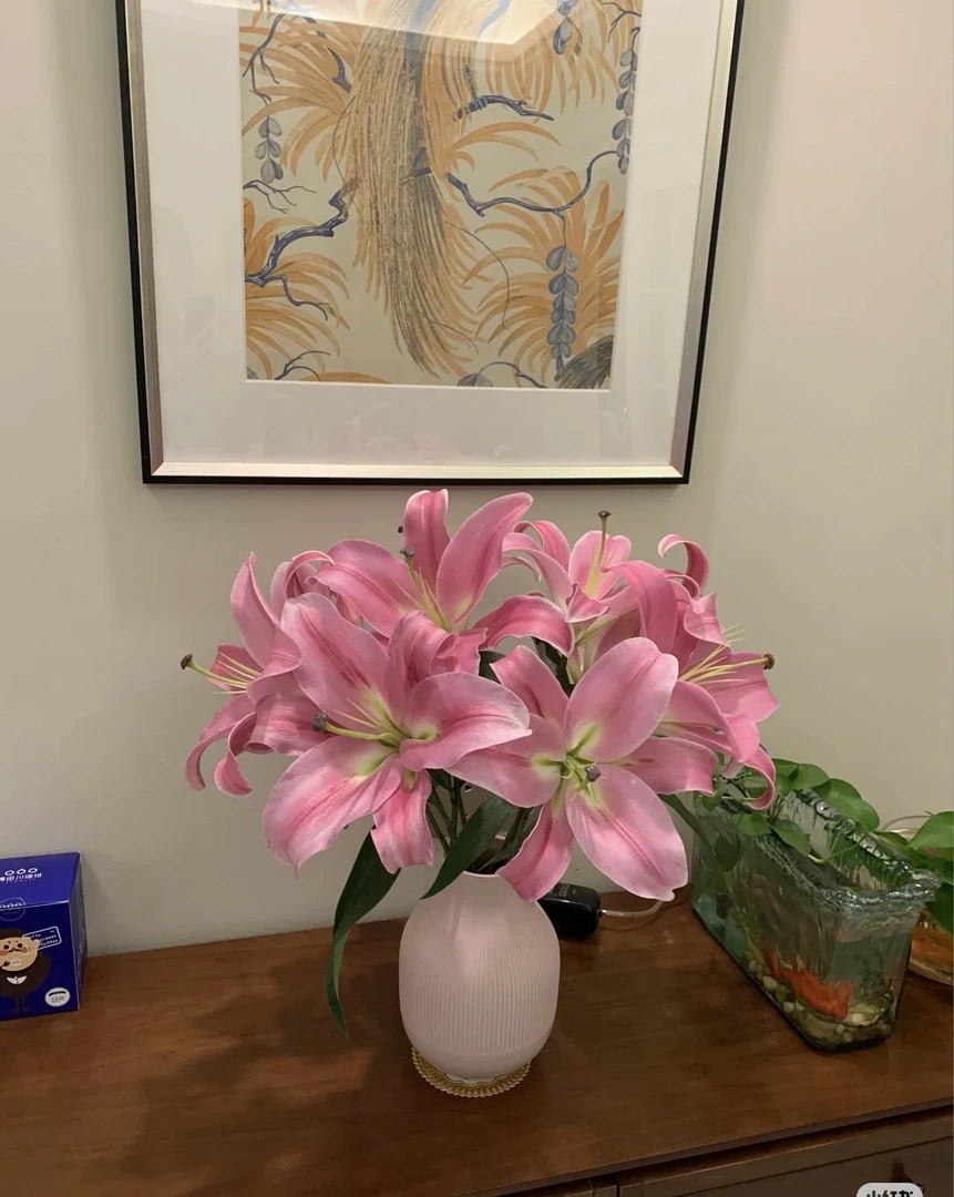 普拉芬多双头百合 有香味