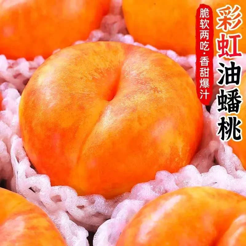 彩虹油蟠桃新鲜脆甜爆汁当季现摘黄桃美味水果现摘现发新鲜水果桃