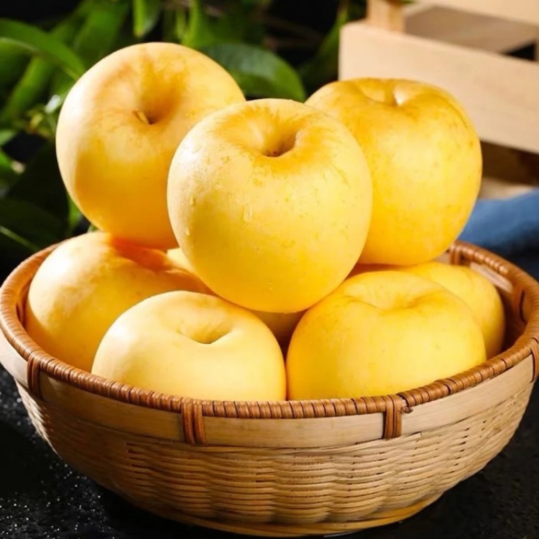 【山东黄金维纳斯苹果】新鲜采摘，脆甜可口，纯甜无酸