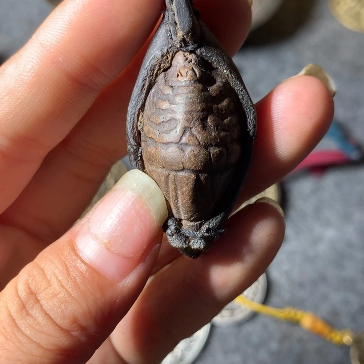 喜欢哈哈哈哈哈哈哈哈哈