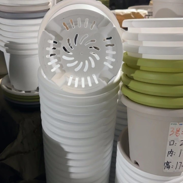 四季3号10个盘10个托白色的