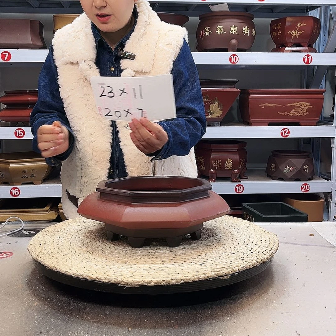 紫砂花盆紫砂花盆里放