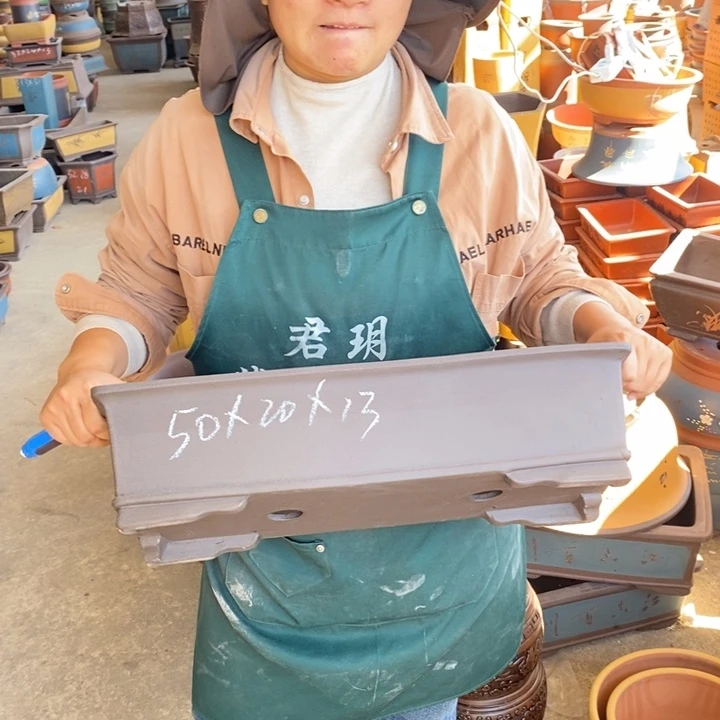 紫砂花盆盆栽花卉苗木种植