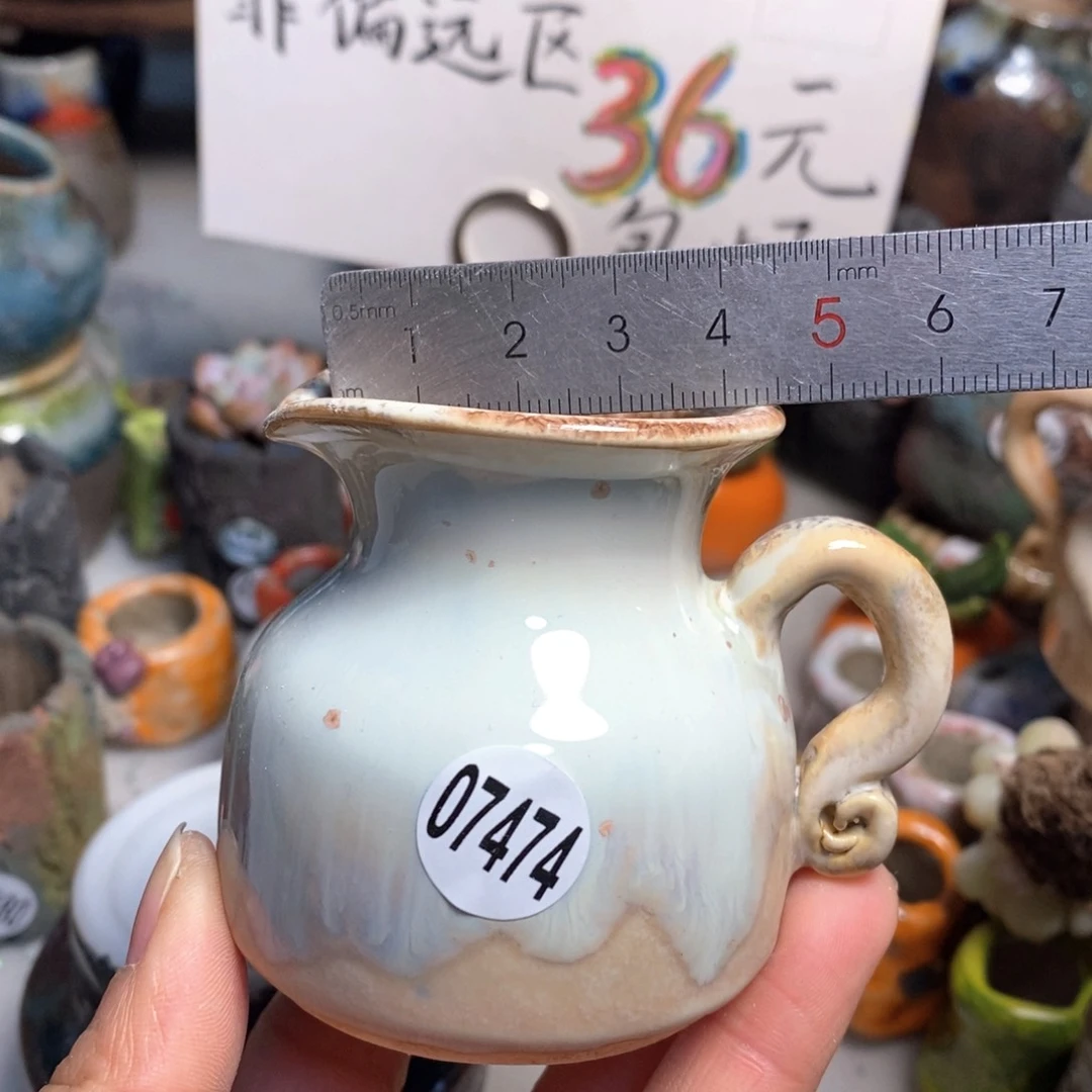 拍5送一个小礼物花盆