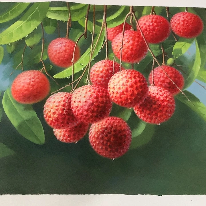 油画50*60手绘油画