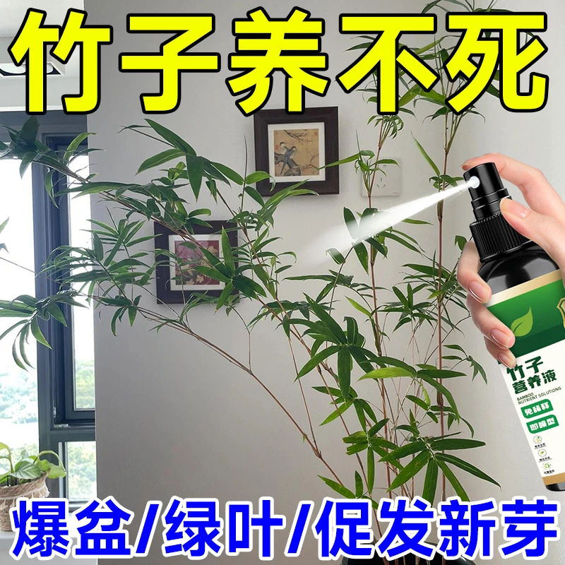 竹子专用营养液三合一生根烂根药盆栽绿植专用肥料死竹成活免稀释