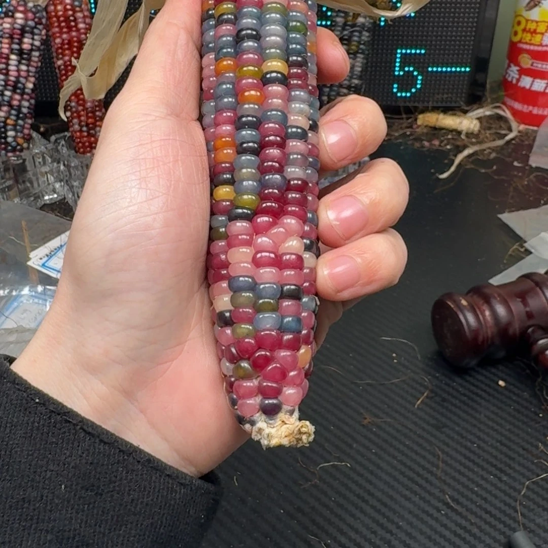 柏香籽/百香籽吊坠静*流