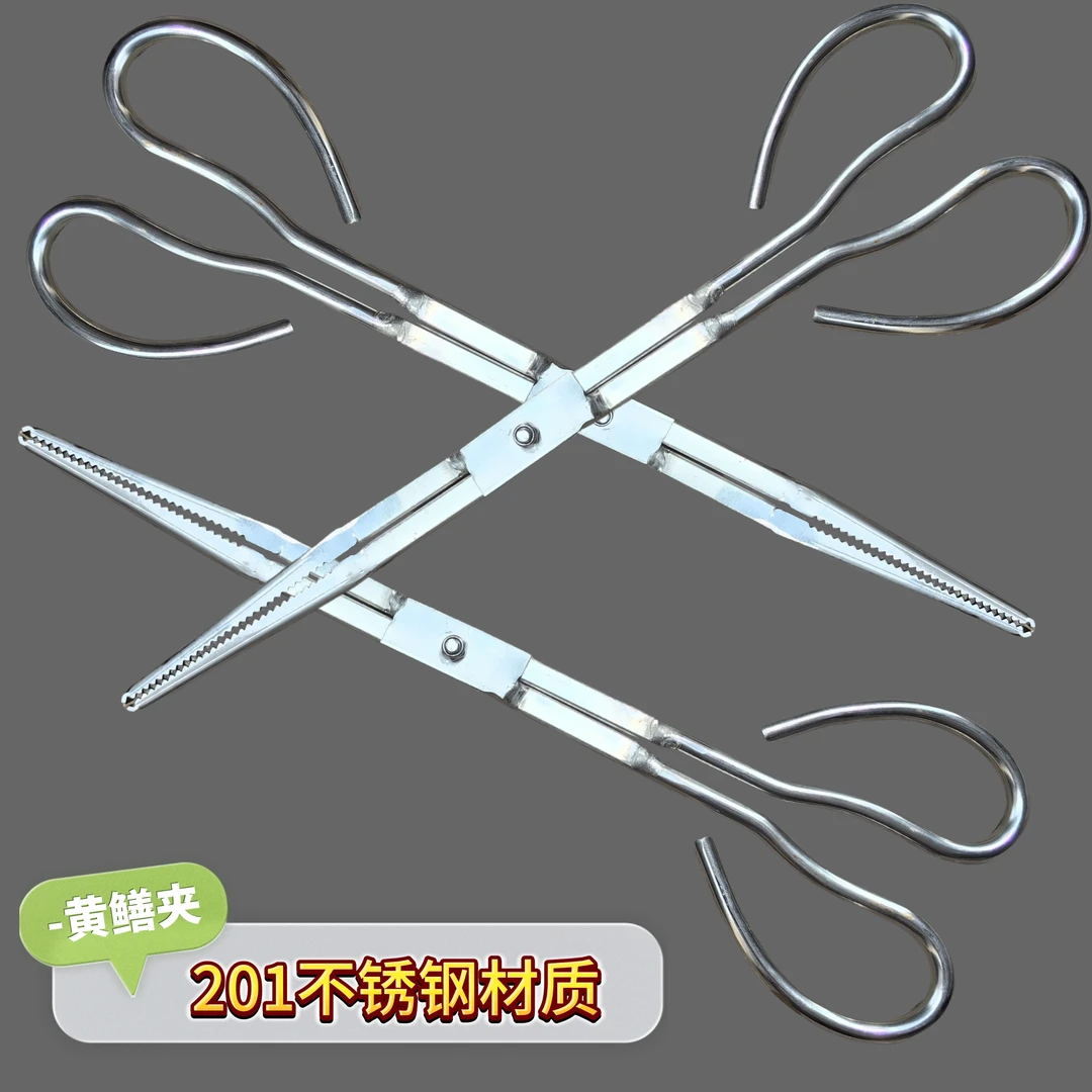 加强版不锈钢防滑夹子防脱黄鳝夹泥鳅钳夹鱼赶海工具黄鳝夹子