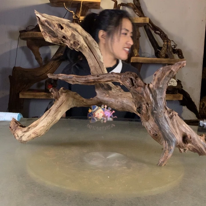 條***刺天然的云南紫柚木会黄水