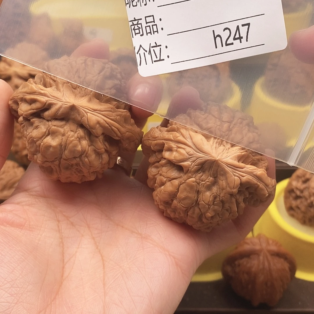 君***笑大叶紫檀（黑酸枝木类）龙鼎