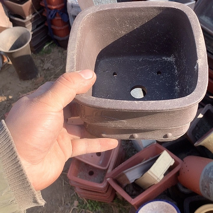 紫砂淘宝的时候发现很多东西都在