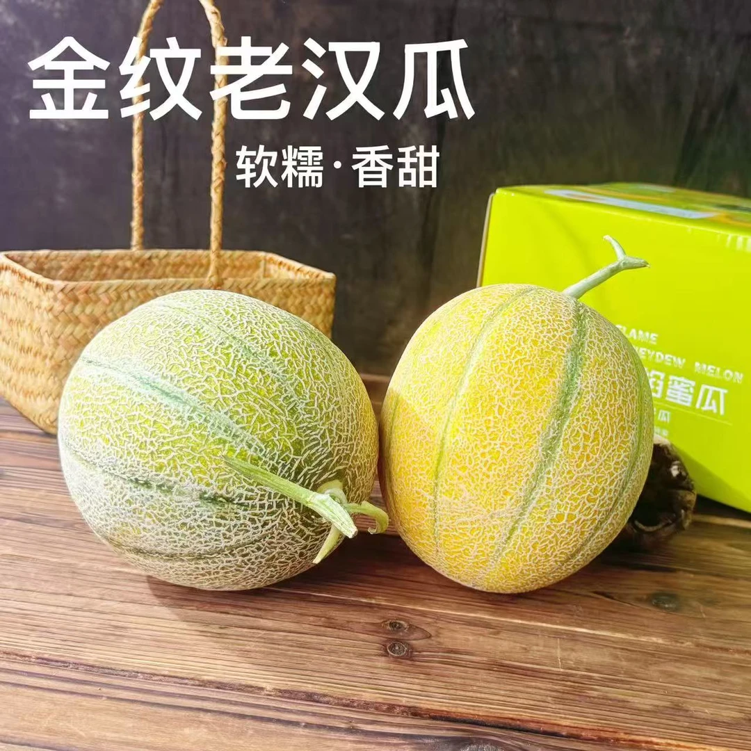 新疆特产金纹老汉瓜搭配西州蜜应季新鲜香甜哈密瓜蜜瓜