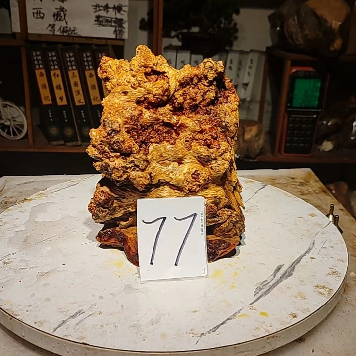 松木逍*子77号北沉香琥珀木天然造型