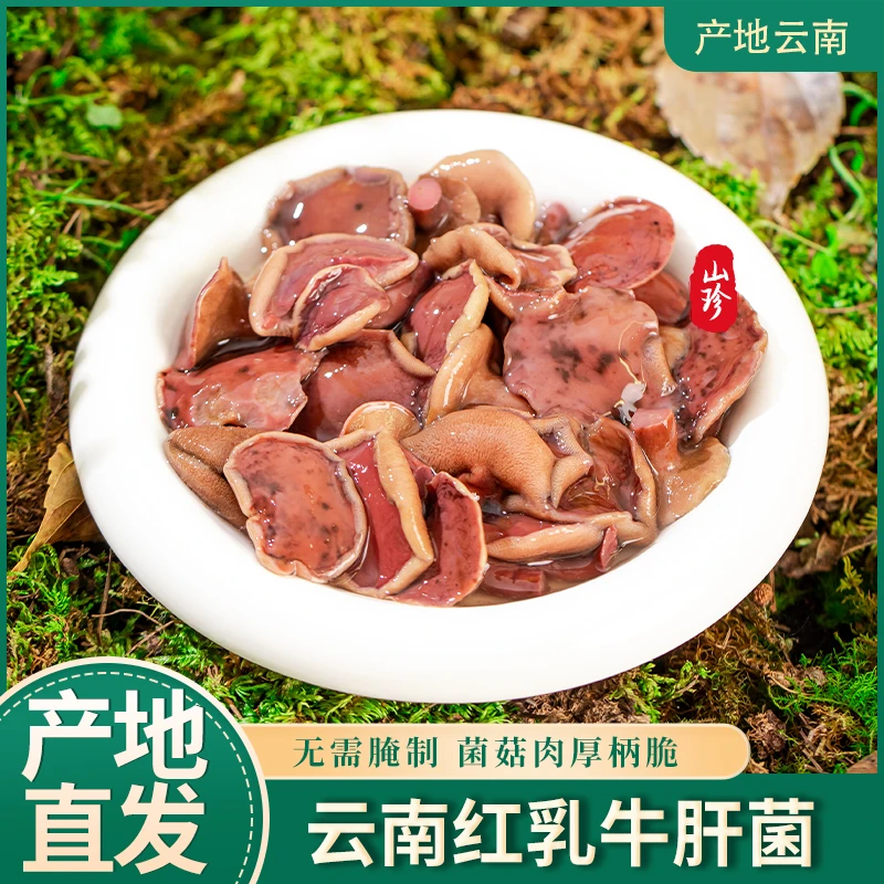 新货云南野生食用菌红乳牛肝菌松涮火锅配菜食材口感脆滑爽嫩