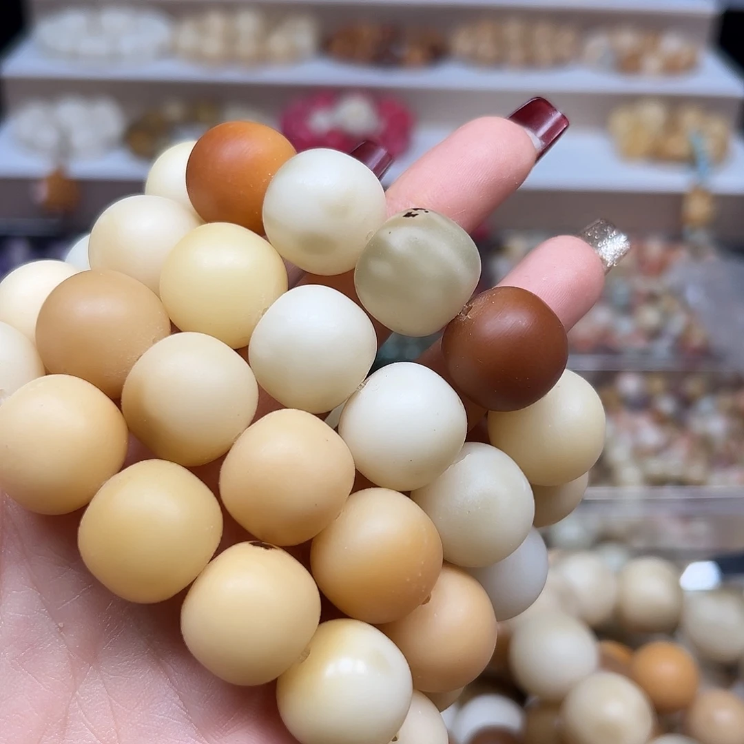 手串菩提根/象牙果瑕疵19干磨桶4条