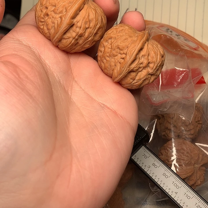 36尺寸全品平谷元宝不打药核桃