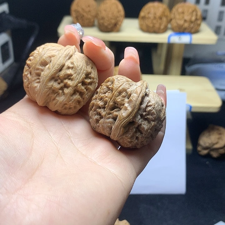 Z***0元宝444444444444441