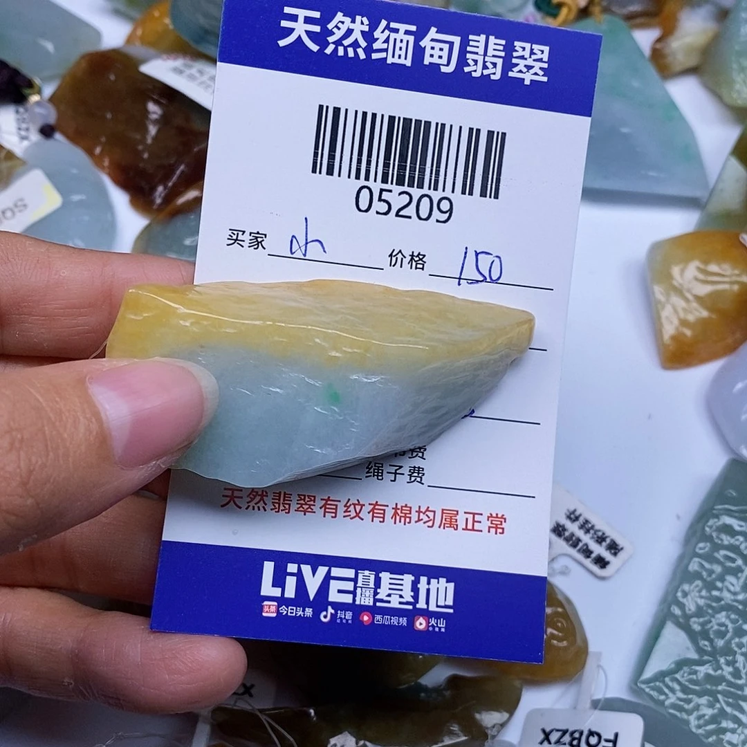 翡翠颈饰未镶嵌小****鱼