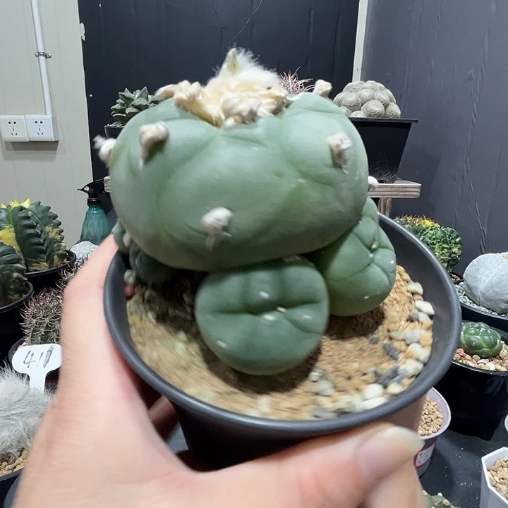 天***勤307哈哈哈哈哈哈哈哈哈