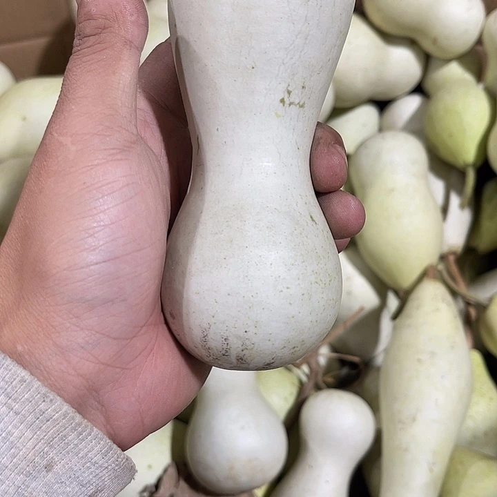 大果紫檀（缅甸花梨）用****0