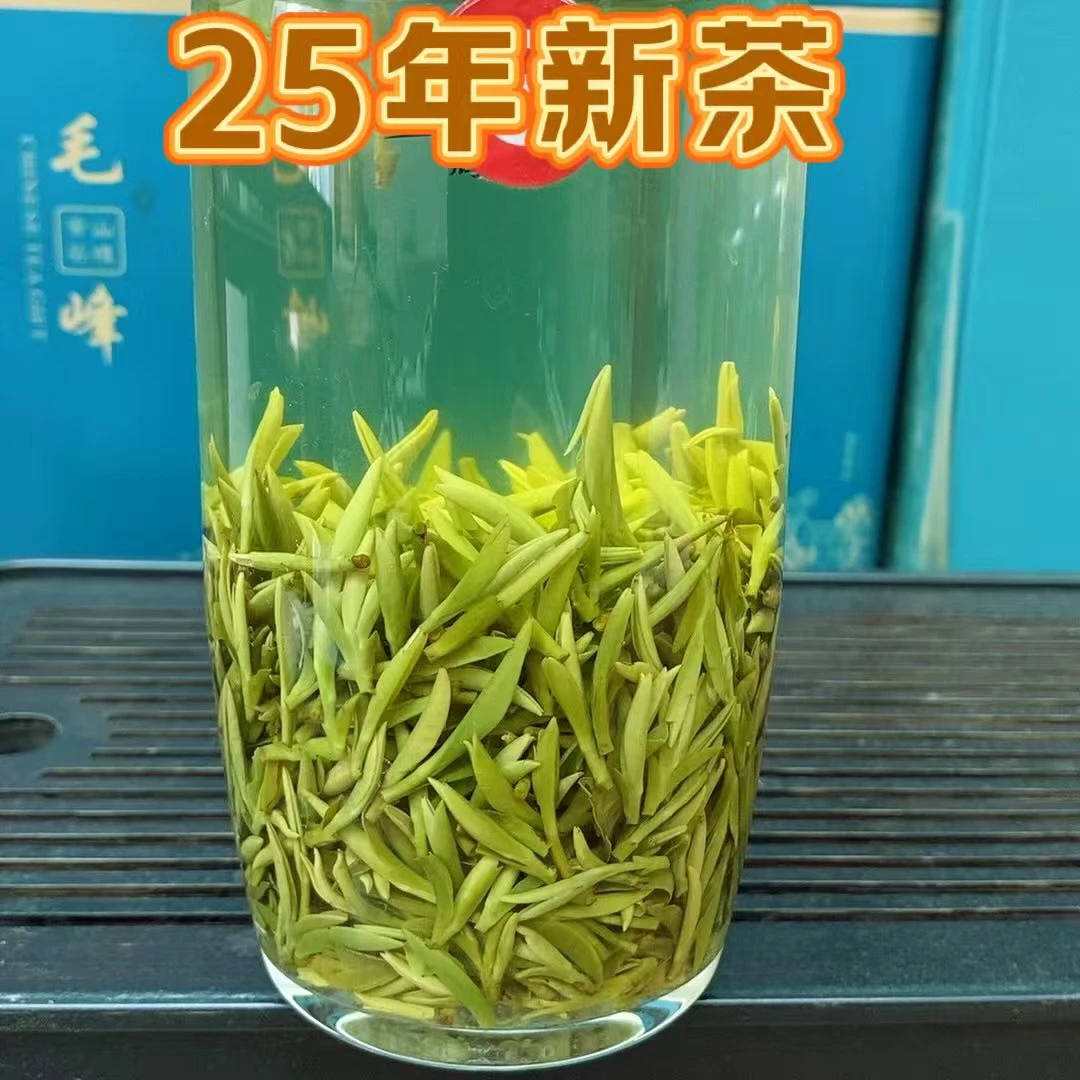 2025年开园头一天采毛峰 明前头采绿茶叶小嫩芽头春初采高山茶