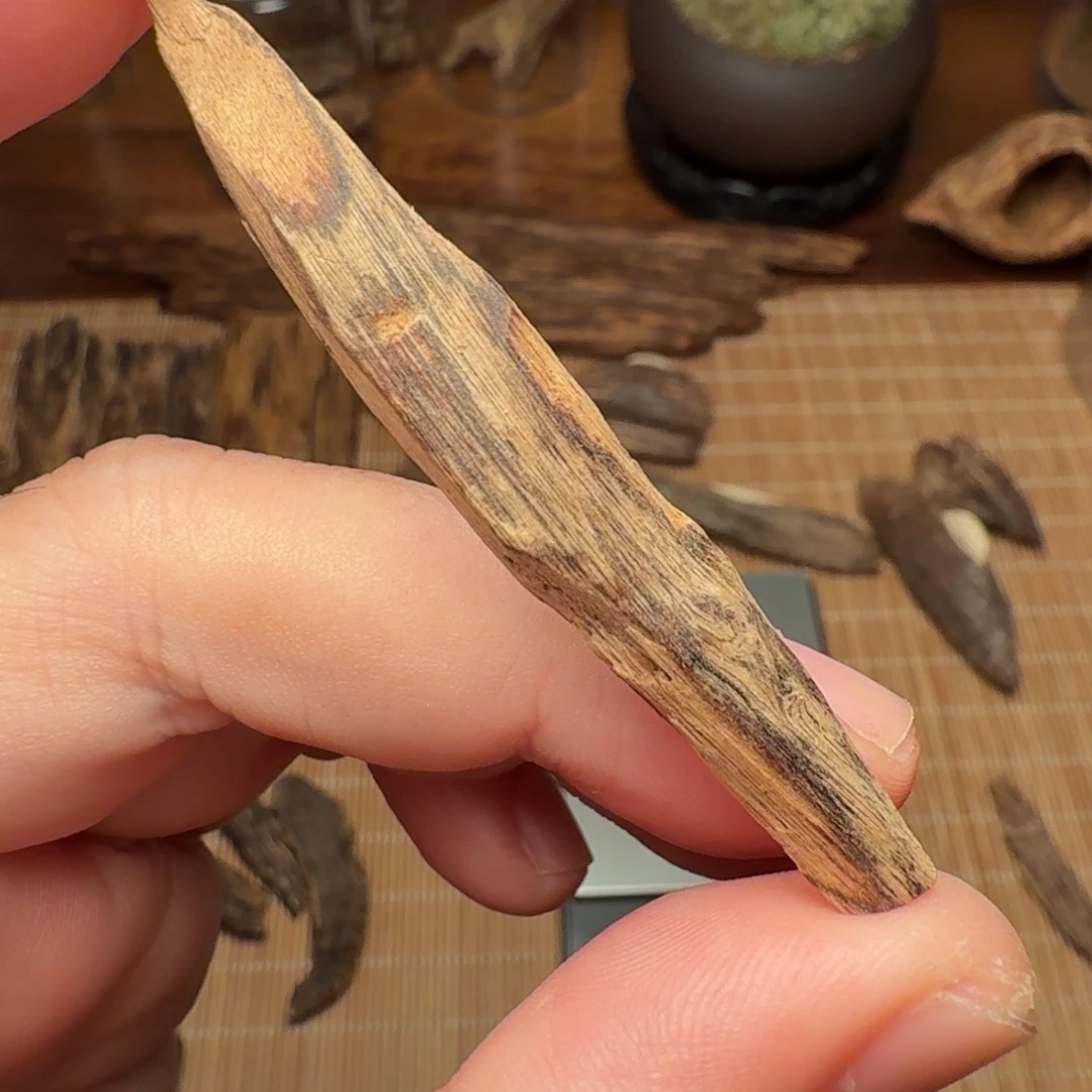 沉香帝汶双尖头瓜子