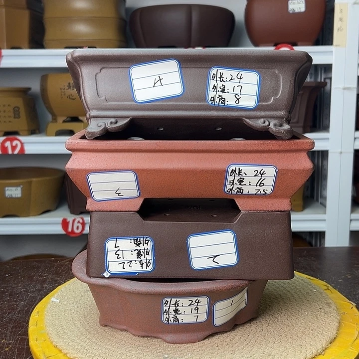 花盆紫砂你在一起