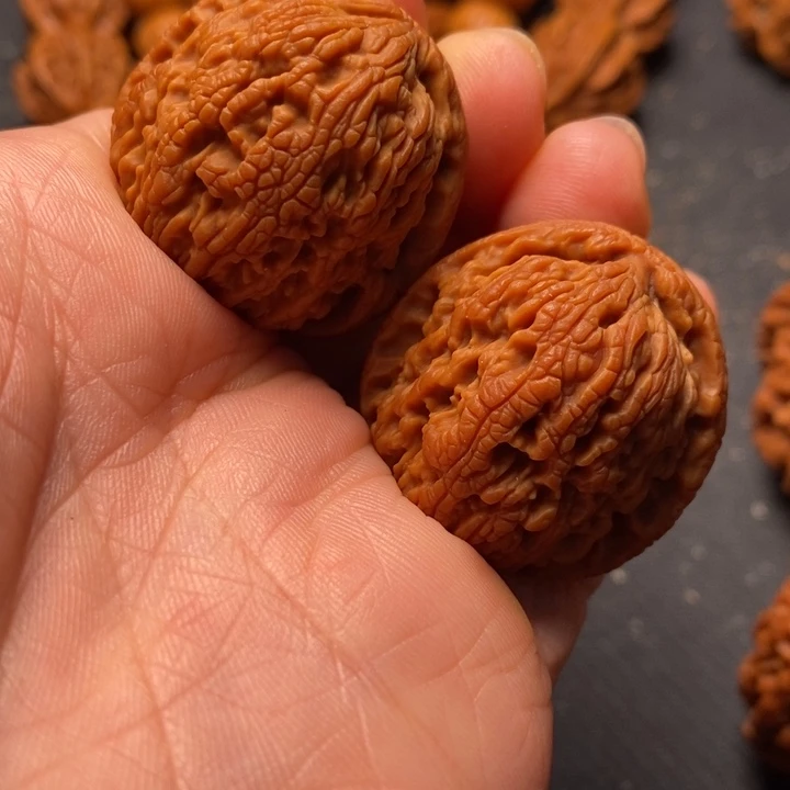 秦岭野生文玩核桃