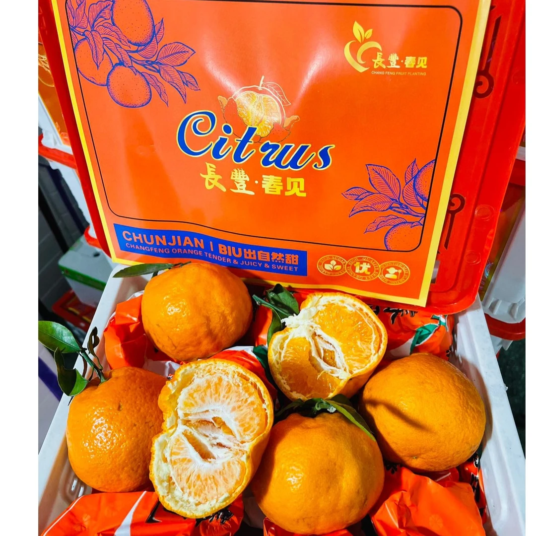 【长丰春见耙耙柑】粒粒爆汁