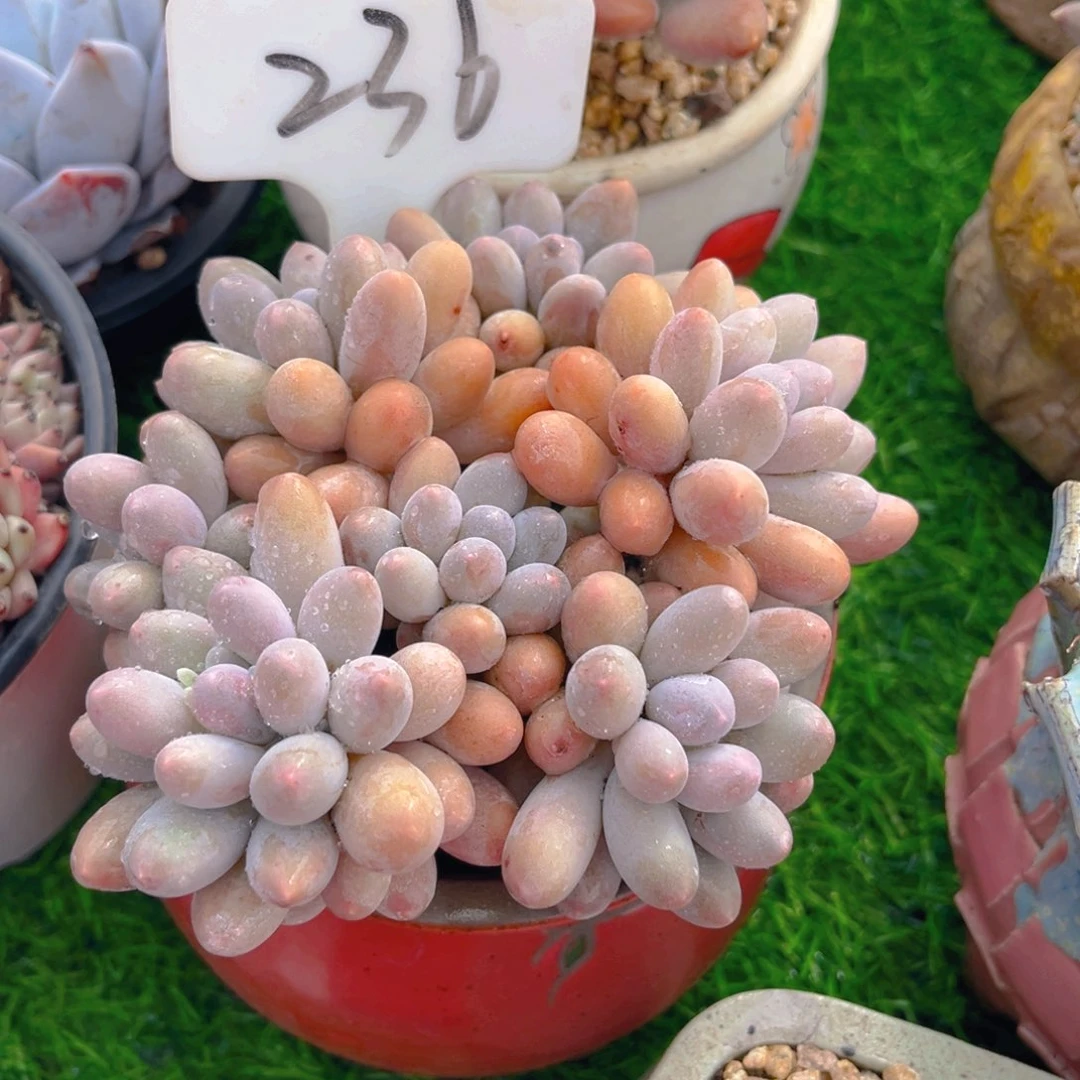 ?****?236fghjjjjkkkkkn