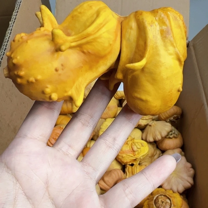葫芦中国大陆用****7